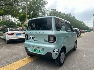 Galaxy Panda