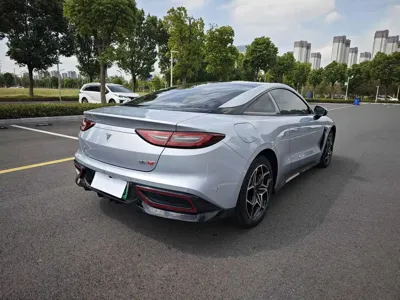 NETA Neta GT