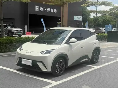 BYD Seagull