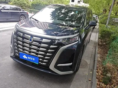Denza Denza D9