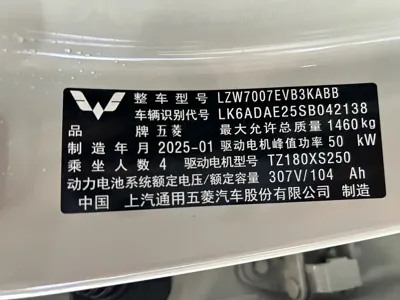 Wuling Bingo