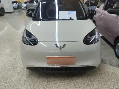 Wuling Bingo