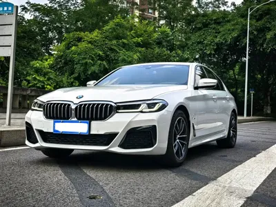 BMW 5 Series (Import)