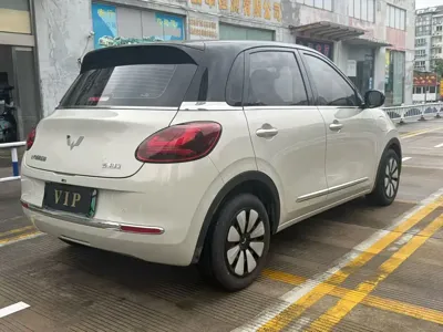 Wuling Bingo