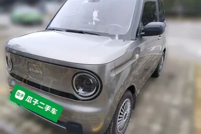 Geely Galaxy Panda