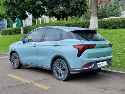 NETA Neta V
