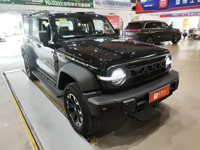 Tank Tank 300L New Energy