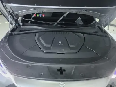 BYD PLUS New Energy