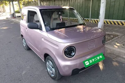 Geely Galaxy Panda