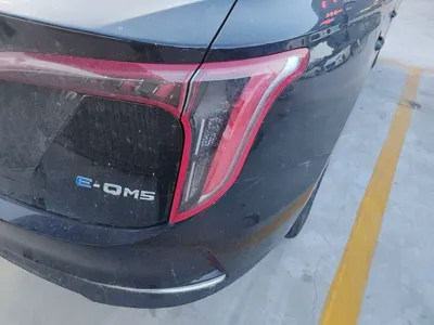 Hongqi E-QM5