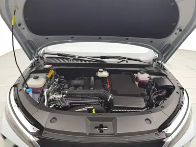 BYD Qin L