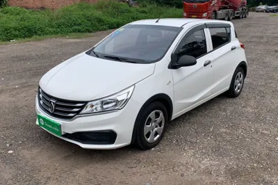 Baojun 310