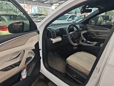 BYD Pro New Energy