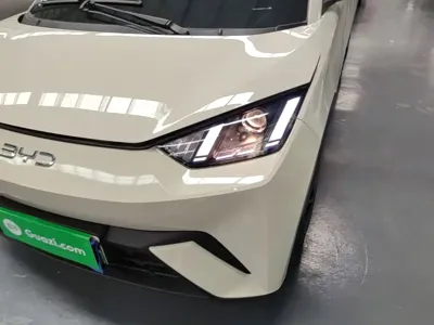 BYD Seagull