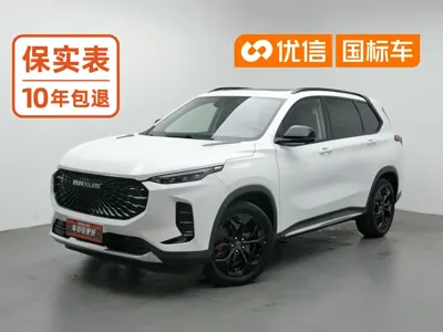 Maxus D60