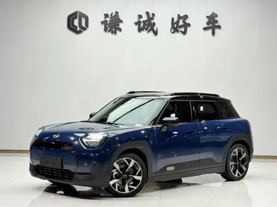 MINI MINI ACEMAN EV