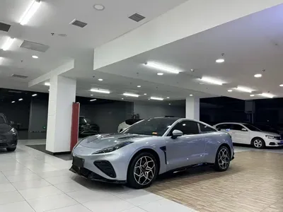 NETA Neta GT