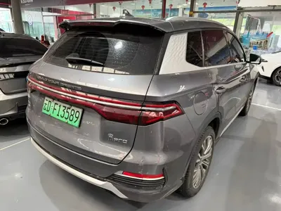 BYD Pro New Energy