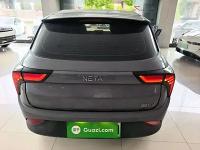 NETA Neta V