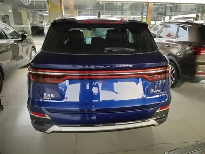 BYD Pro New Energy