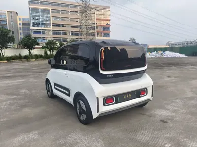 Baojun E300
