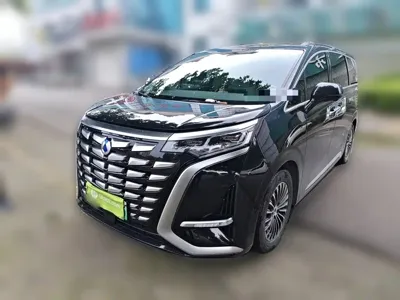 Denza Denza D9