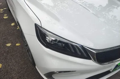 Geely Auto Binray