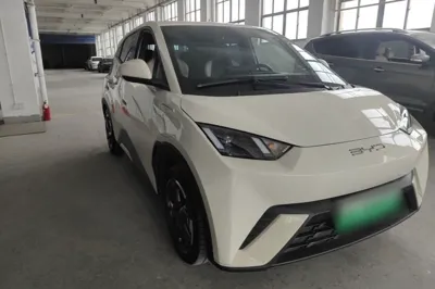 BYD Seagull