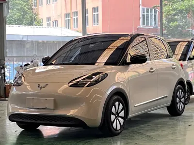 Wuling Bingo