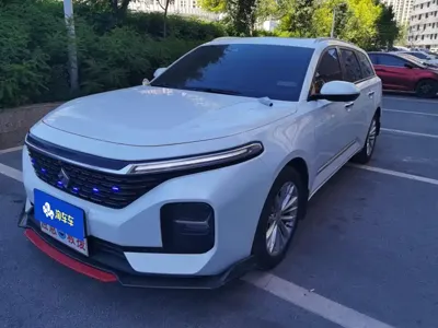 Baojun Valli