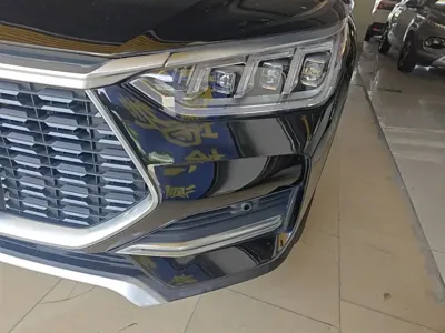 BYD PLUS