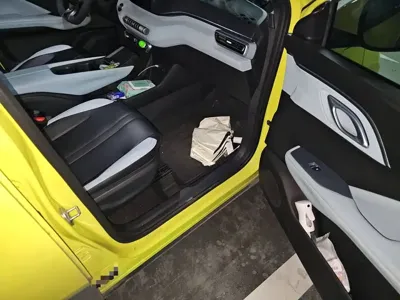 BYD Seagull