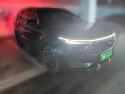 Li Auto ONE