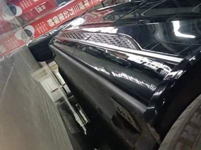 Hongqi Hongqi E-HS9