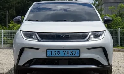 BYD Dolphin