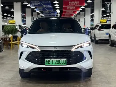 BYD L DM-i