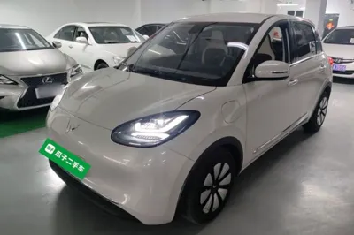 Wuling Bingo
