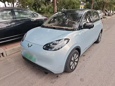 Wuling Bingo