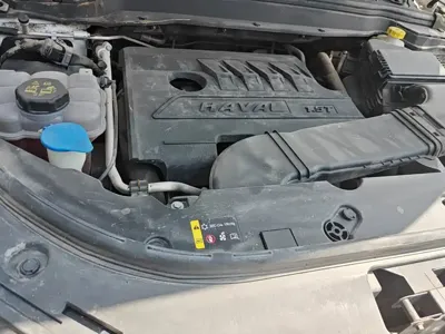 Haval H4