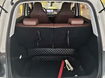 Wuling Bingo