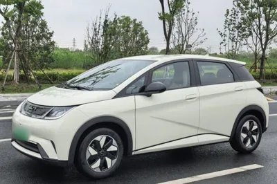 BYD Dolphin