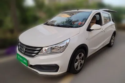 Baojun 310