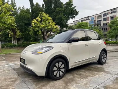 Wuling Bingo
