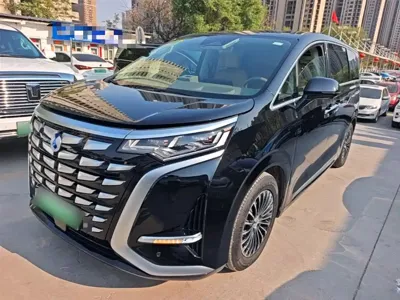 Denza Denza D9