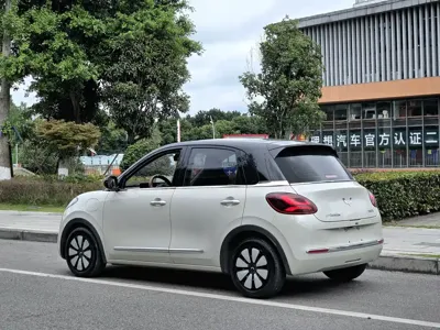 Wuling Bingo