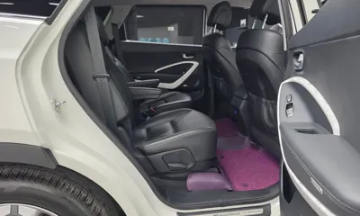Hyundai Maxcruz