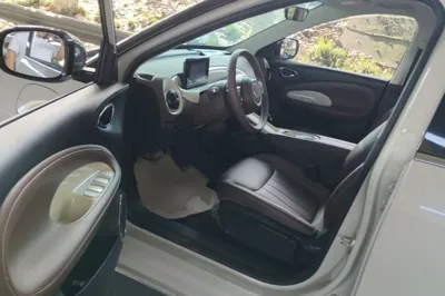 Wuling Bingo
