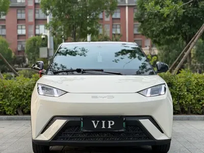 BYD Seagull