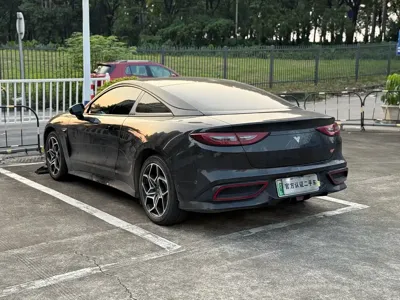 NETA Neta GT