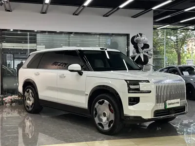 Zeekr 极氪9X